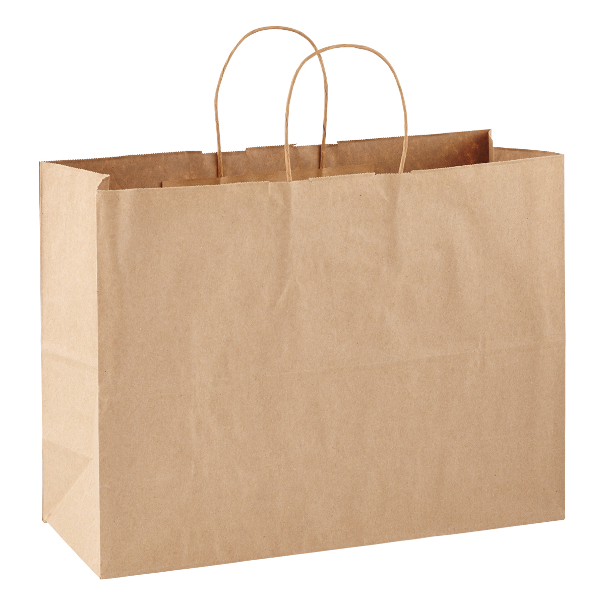 Large Brown Kraft Gift Bag | The Container Store