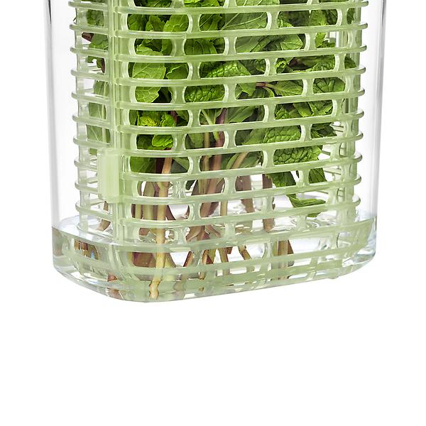 OXO greensaver Herb Keeper | The Container Store