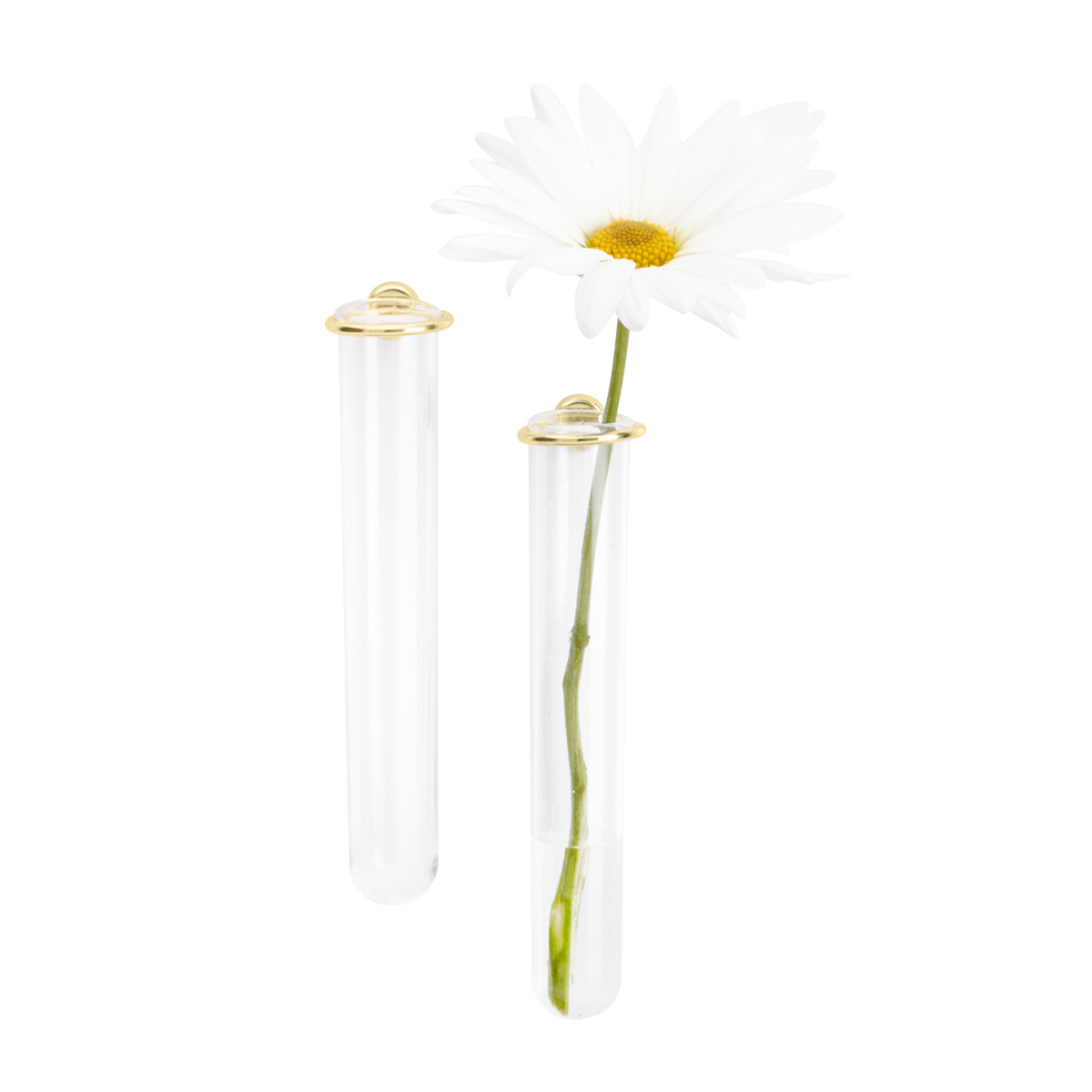 Three by Three Gold Magnetic Flower Vase | The Container Store