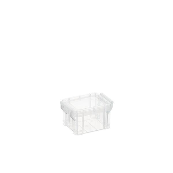 Teyyvn Plastic Mini Latch Box, Storage Bin with Locking Lids(Pack of 4, 2  L, Clear)