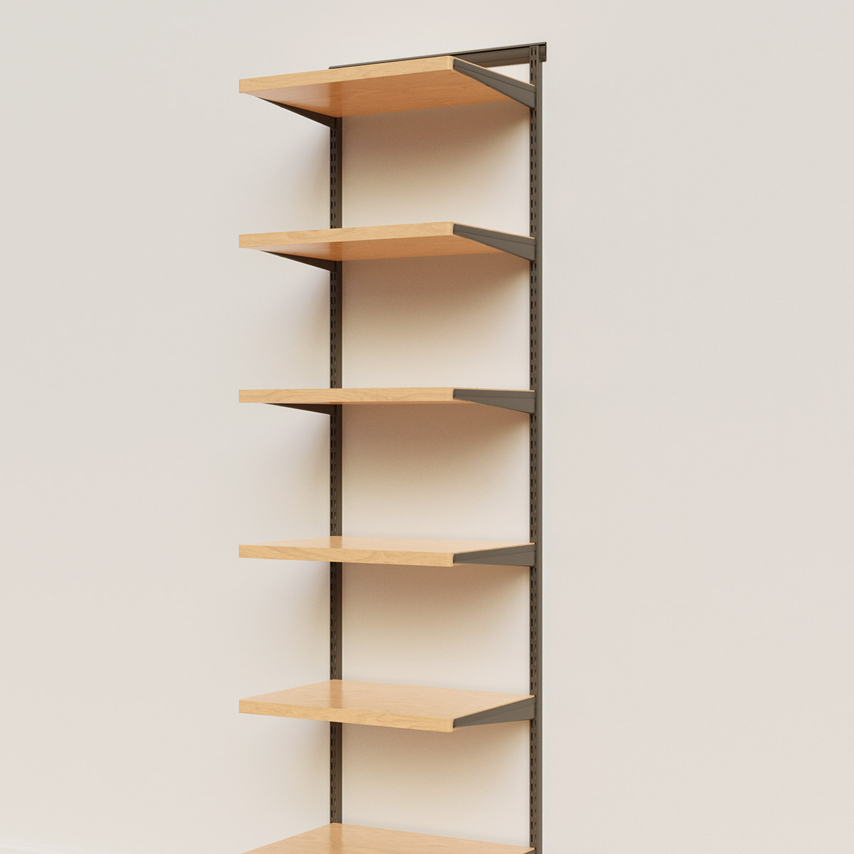 Elfa Décor 2' Graphite & Birch Basic Shelving Units for Anywhere | The  Container Store