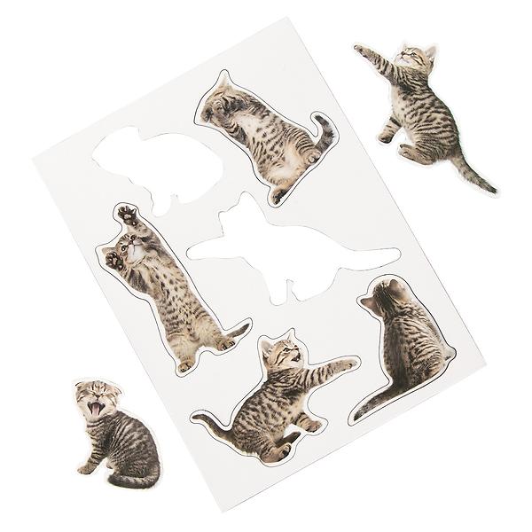 Action Cats Magnets | The Container Store