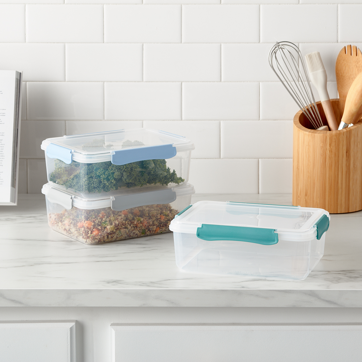 Plastic Food Containers with Grey Clips