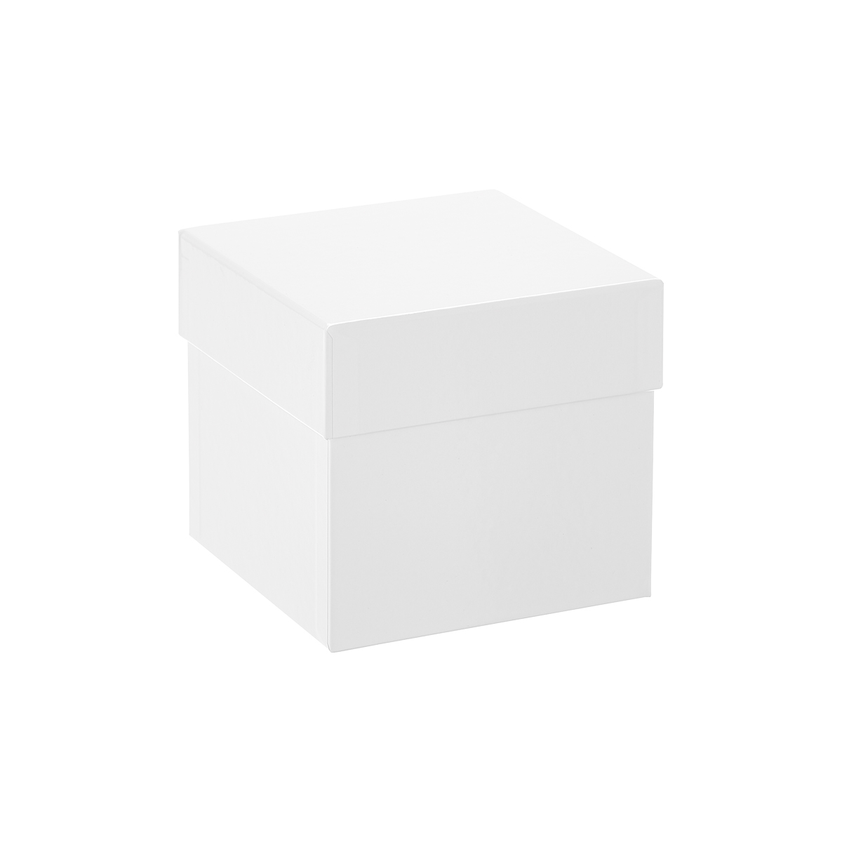 Premium Glossy White Gift Boxes | The Container Store