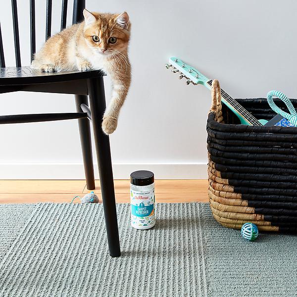 Aunt Fannie's Cleaning Vinegar For Cats