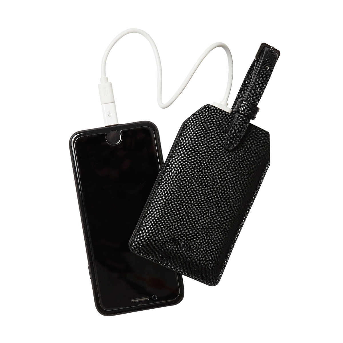 https://www.containerstore.com/catalogimages/490833/10094793-ATA1701_LUGGAGE-TAG_BLACK_5.jpg