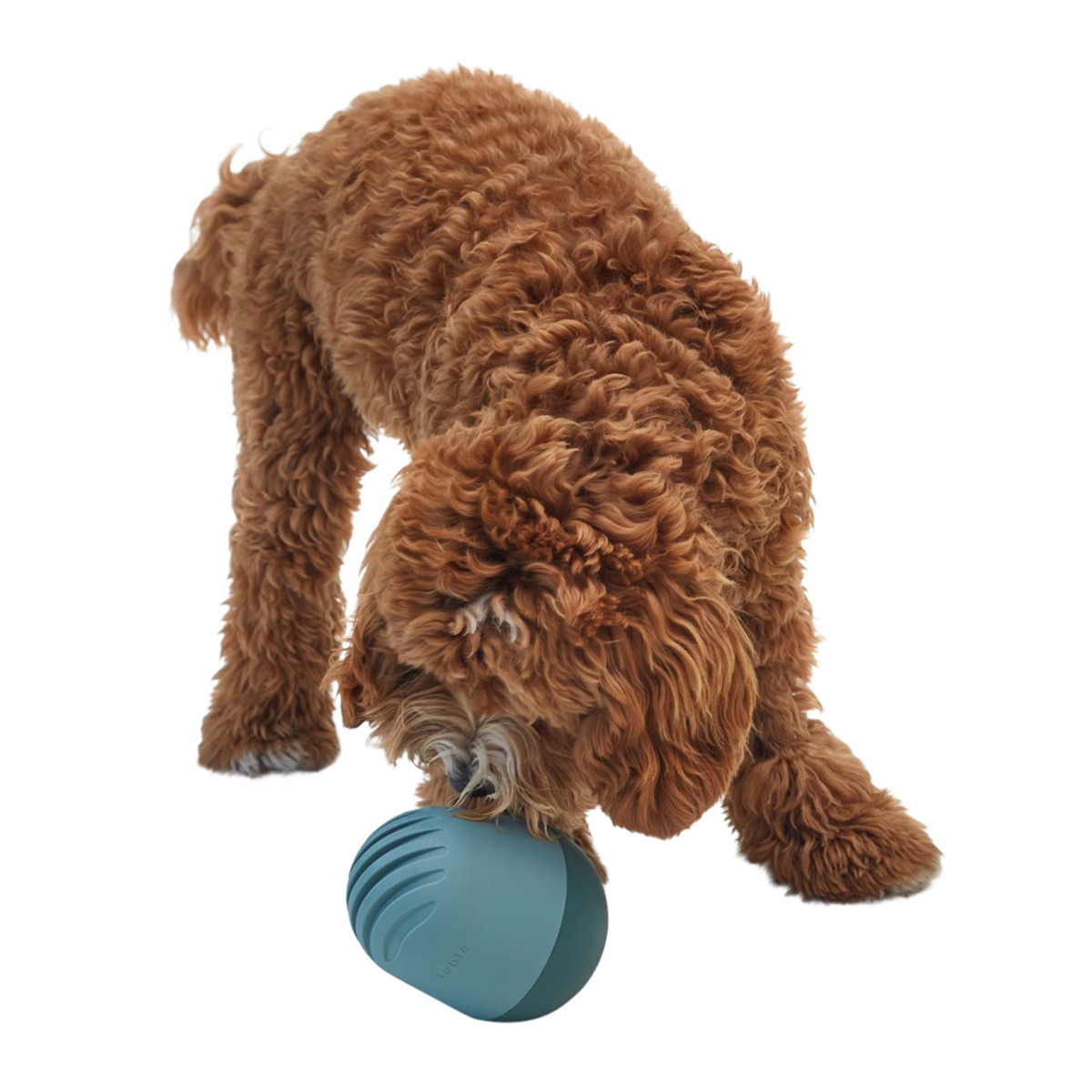 Fable Pets The Game Dog Toy, Navy