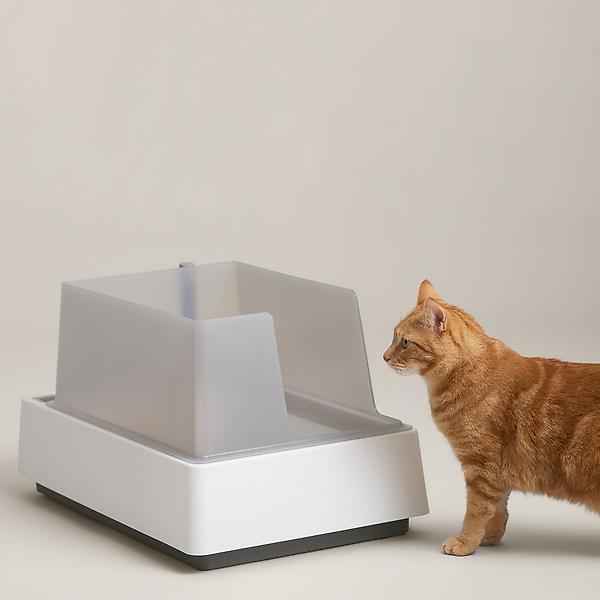 Tuft & Paw Cove Cat Litter Box | The Container Store